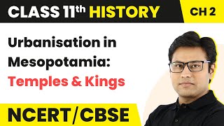 Urbanisation in Mesopotamia: Temples and Kings - Writing and City Life | Class 11 History