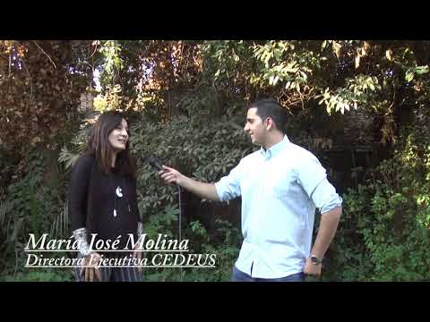 CEDEUS - Leon - Nabzo