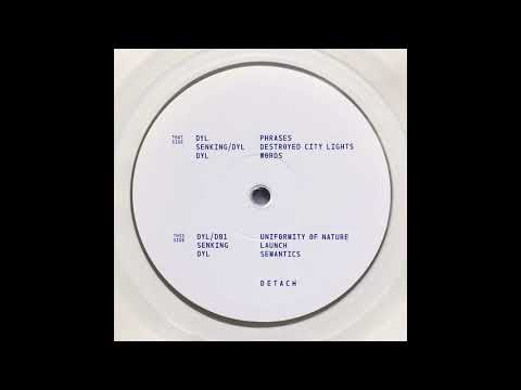 DYL & DB1 - Uniformity of Nature [DET002]