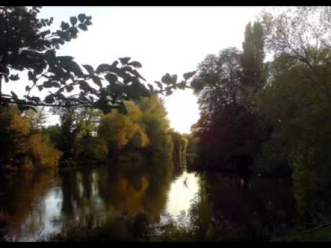 Spem In Alium Thomas Tallis