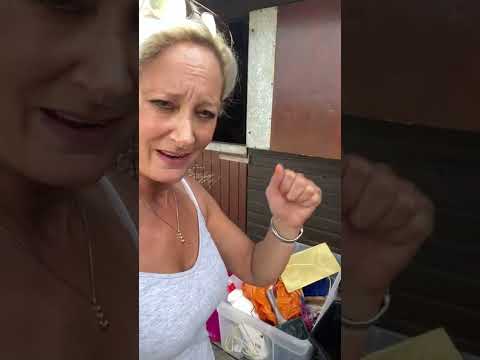 Preparing a lamb for show - how to card #colouredryeland #showsheep #carding #showprep