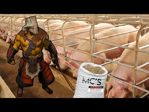 No One Is Fast Enough To Deal With All This Feeding