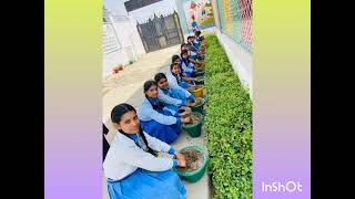 Dbs Montessori School Video