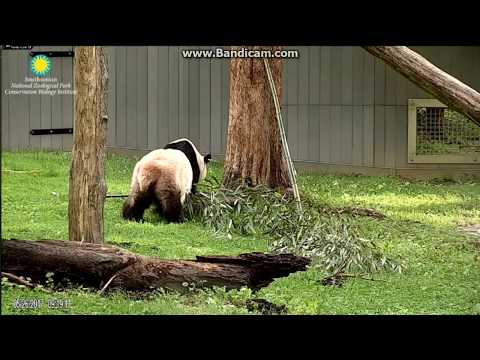 2017.05.26 MOM MEI'S APPETITE IS STILL BAD