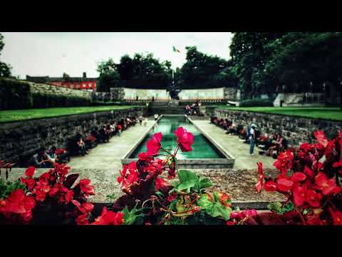 Platinum Monkey - Heavenly Garden (Original Mix)