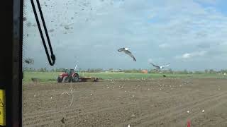Eindelijk wer oan de gong wat wienen we joet wer moai fuort Germ en Ebe