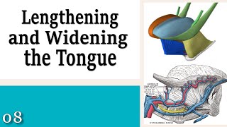 Download Lagu 08 Lengthening and Widening the Tongue - Learning to Control Your Neck and Head Thumbnail
