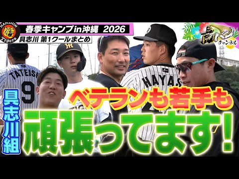 【具志川便り】我らがザキさんからルーキー右腕まで具志川も熱い！藤川監督も視察に訪れた具志川キャンプまとめました！阪神タイガース密着！応援番組「虎バン」ABCテレビ公式チャンネル