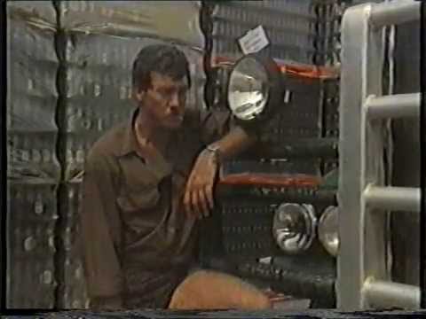 Gordons grosse Freiheit