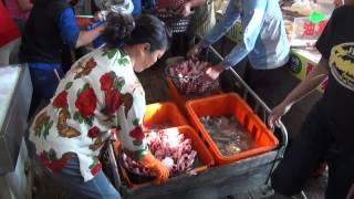 preview picture of video 'Donggang (東港) Fish Market, PingDong, Taiwan - 2/1/2014'