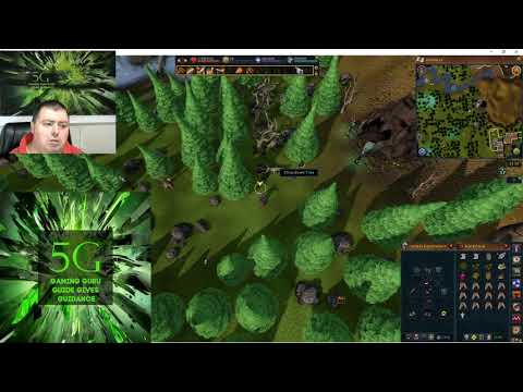 Runescape (RS3) quest:  Mourning's End Part 1