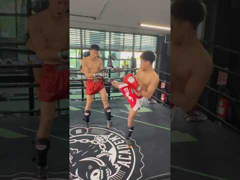 Tito Faces Thai Fighter with 300 Fights! Muay Thai Sparring at Petchyindee Gym Bangkok