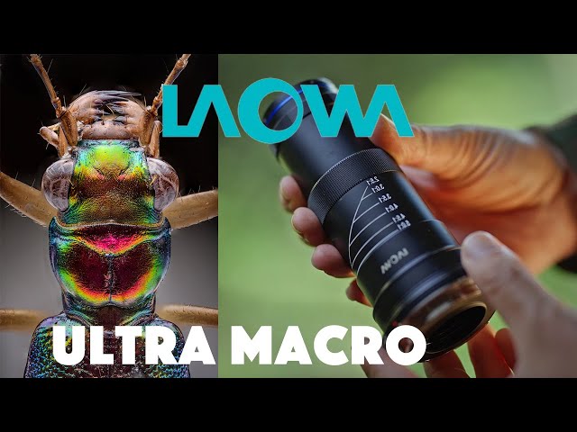 Vídeo relacionado con Venus Optics Lawoa Ultra Macro VE2528SFE - Objectivo 25mm f/2.8, Negro