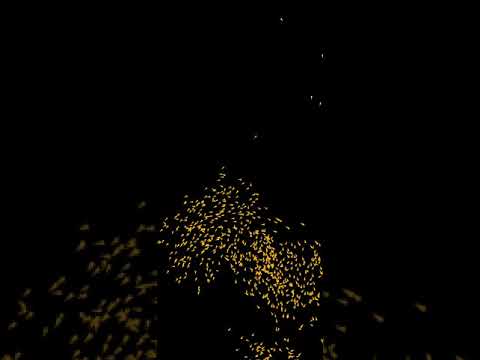 Boids 2D – flock simulation