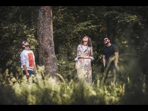 Moonlight Breakfast - Bonjour [Feat. Sunetele Padurilor for Greenpeace 2018]