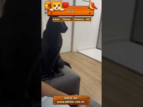 Vídeo de Vick 