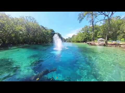 Cypress Springs Kayak Tour - Panama City Beach Florida Travel Vlog
