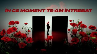 În Ce Moment Te-am Întrebat Lyrics English Translation