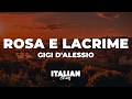 Gigi D'Alessio - ROSA E LACRIME (Testo/Lyrics)