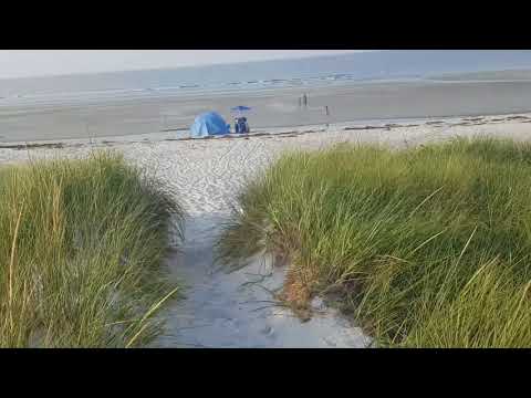 Drive to Coffins Beach  226 Bray Street Gloucester, MA