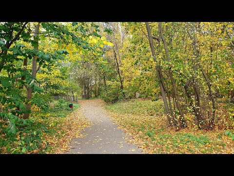 Sweden, Sollentuna - Edsviken 🍂 #231