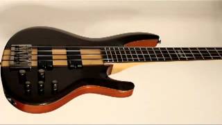 Video thumbnail for ESP LTD B-4E Gloss Bass Guitar by 6-String
