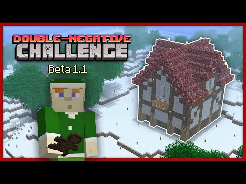 The DOUBLE-NEGATIVE Challenge - Retro Winter - Part 3