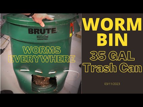 DIY Trash Can Worm Bin - Worms Everywhere 03/11/2023