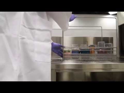 download lagu mp3 mp4 Cleaning And Restoration Services, download lagu Cleaning And Restoration Services gratis, unduh video klip Cleaning And Restoration Services