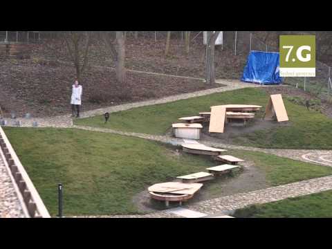 Pošlete Zuzku k ledu