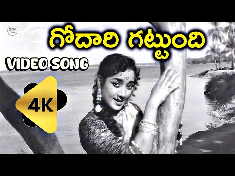 Godaari Gattundhi 4K Full Video Song | ANR Mooga Manasulu Old Movie | Jamuna All Time Super Hit Song