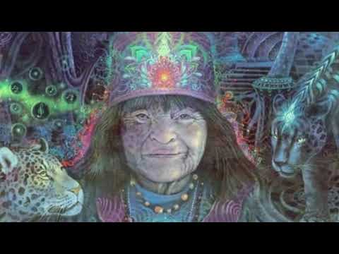 🎼 Shamuankuna Cayari ⭐ Shimshai 🏹 Medicine Songs