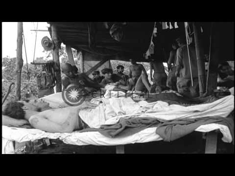 British Army's 'Special Force' Chindits at US 45th Mobile Hospital near Kamaing, ...HD Stock Footage