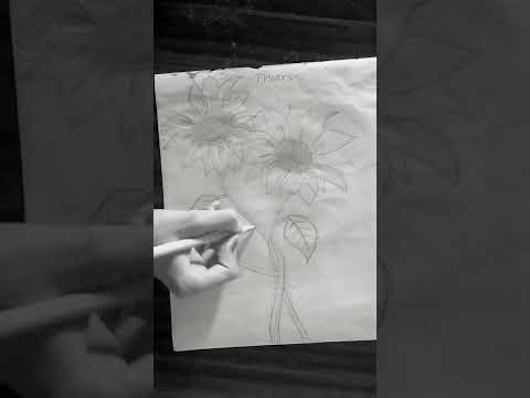2 flowers amazing sketch Drawing #flowers #sketch #shorts 💗🌻🌻🔥🔥🔥