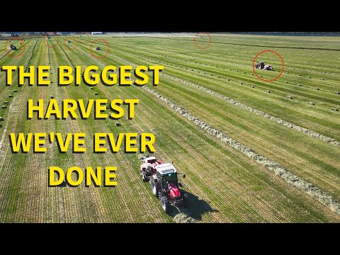 Warum ist Teffheu so schwer zu pressen?