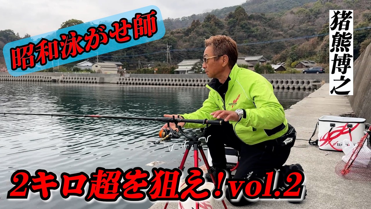 【苦戦】またまた昭和泳がせ師登場！雨の中、アオリイカ２キロ超狙い！