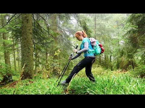 GOLDSTEIG Wanderweg | Hauzenberg - Mauth