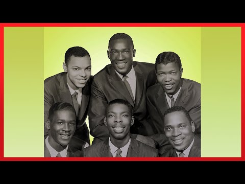 The Monotones - Book of Love