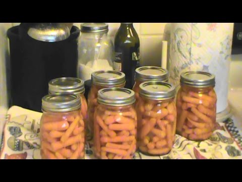 download lagu mp3 mp4 Canned Pickled Baby Carrots, download lagu Canned Pickled Baby Carrots gratis, unduh video klip Canned Pickled Baby Carrots