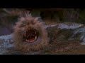 Fizgig screaming