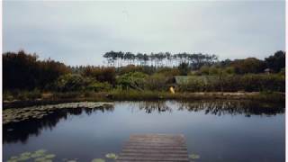 LOVE IS LOVE the woods