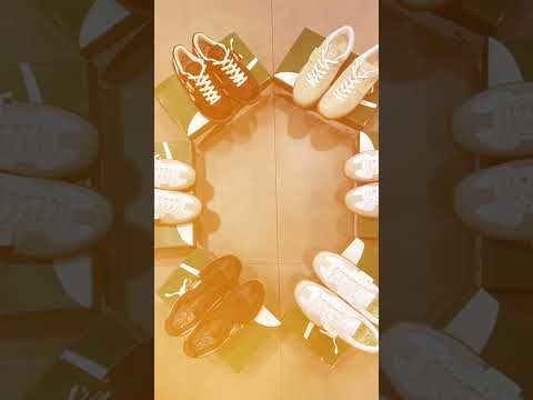 PALERMO ITS FRESH #puma #florida #animal #animals #cougar #viral #cat #cats #beautiful #pumashoes