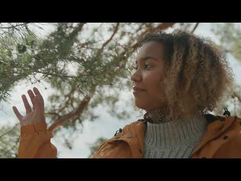 HONKA - Tunne metsän voima