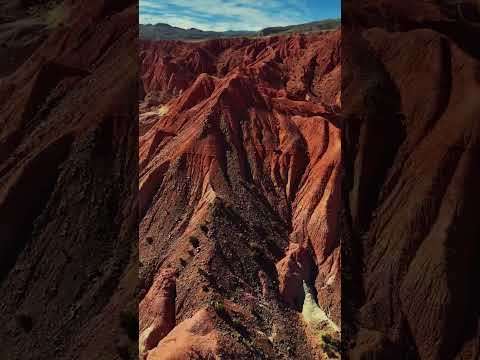 Valle de la Luna-CUSI CUSI🌵🏜 #JUJUY #mundo #jujuyargentina #argentina