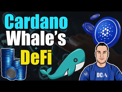 How ADA Whales Make Money In Cardano DeFi Markets