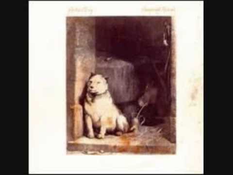Pavlov's dog-song dance