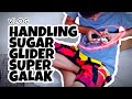 VLOG HANDLING SUGAR GLIDER SUPER GALAK