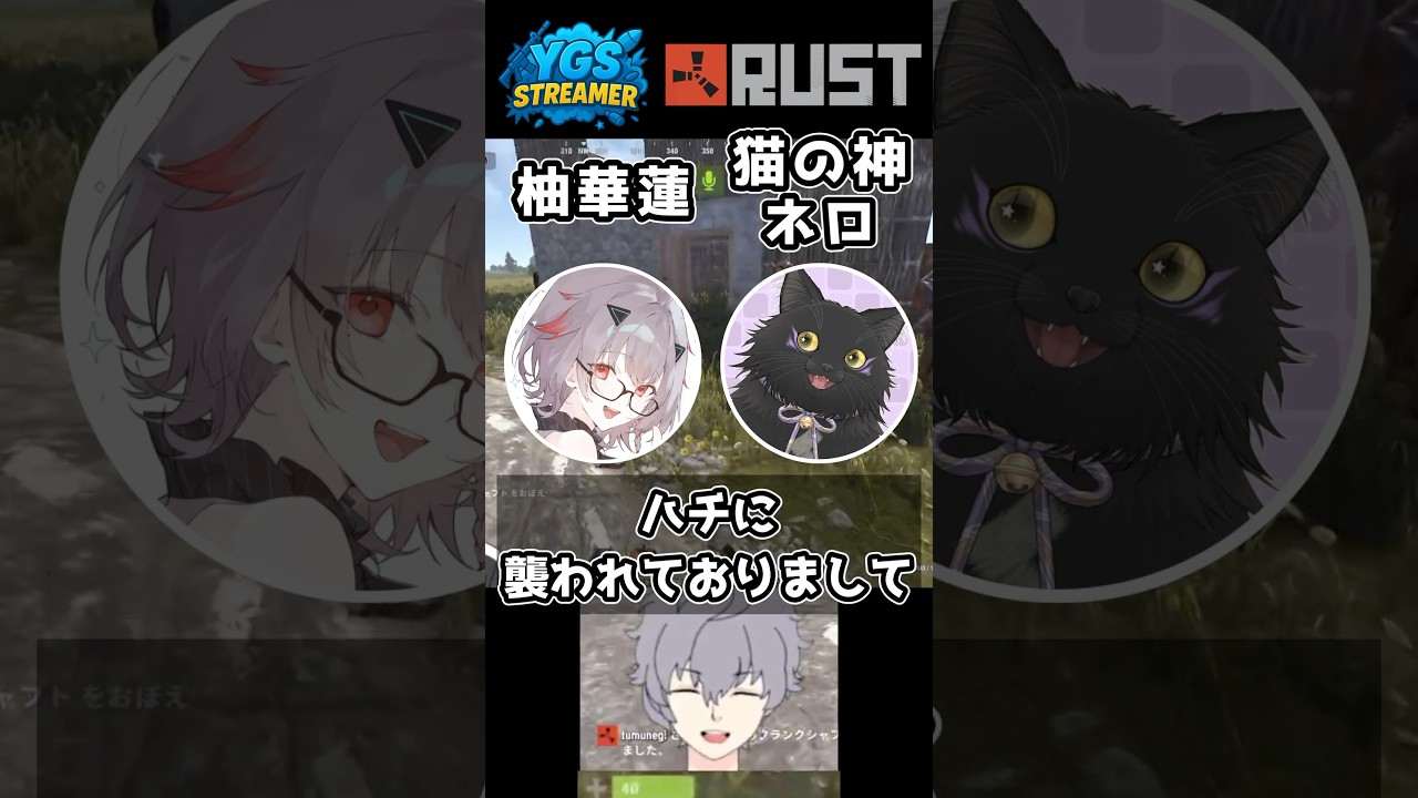 【YGSRUST】初心者&初心者vs蜂vsダークライ #RUST #スト鯖 #vtuber #切り抜き #shorts #ygsrust