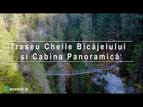 Traseu Cheile Bicăjelului – Podul Suspendat – Cabina Panoramică