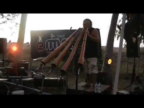 emDee Didgeridoo